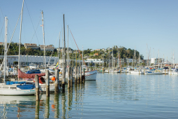 HBRC Boats Ahuriri Marina April 2022 1 1 web