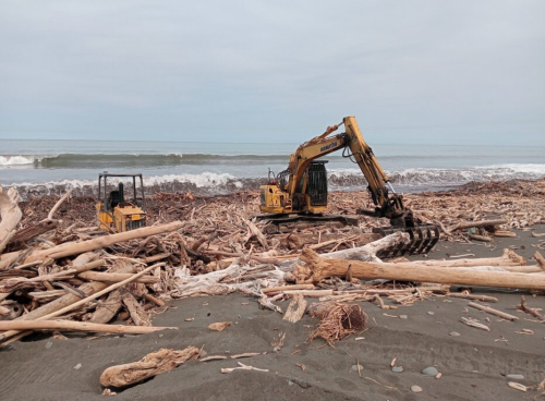 wairoa clean up