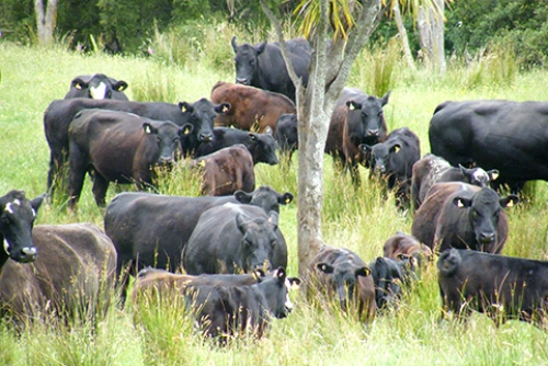 Resilient Farming Systems