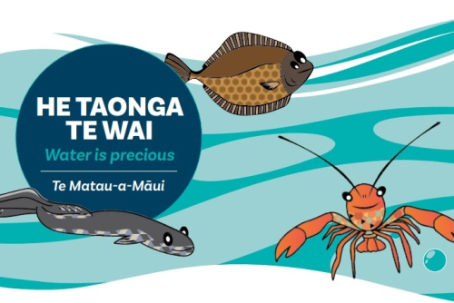 He Taonga Te Wai - Water is Precious