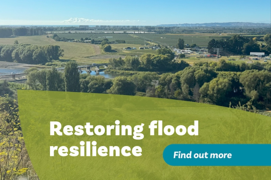 Restoring flood resilience