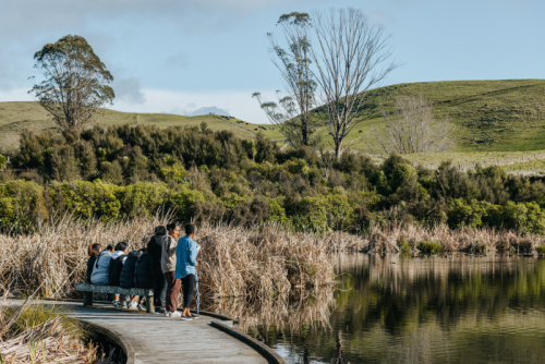 Pekapeka wetland