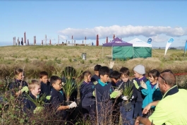Working with a school during Matariki