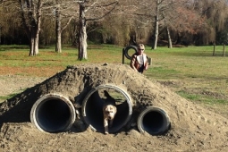 Pakowhai Regional Park the first dog to test the new tunnels 2 Copy