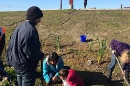 Volunteers planting at the Waitangi star compass May 2017 Copy