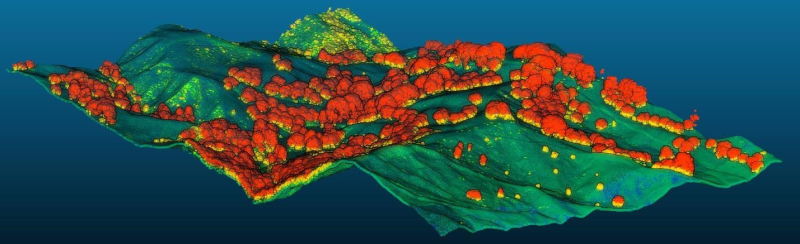 LiDAR 3d vegetation map